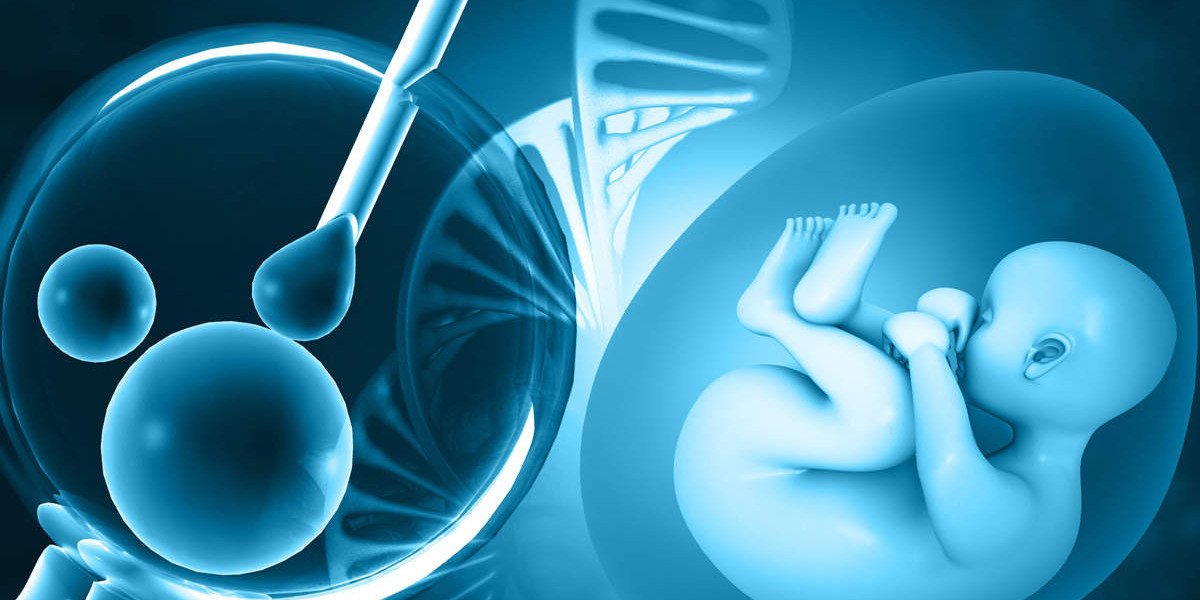 In Vitro Fertilization Services Market Size, Share, Top Key Players, Growth, Trend and Forecast Till 2030