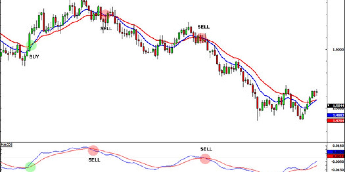 How to Use MACD to Confirm a Trend