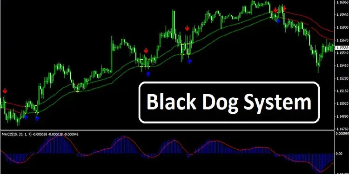 Black Dog System