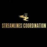 Streamlines Coordination