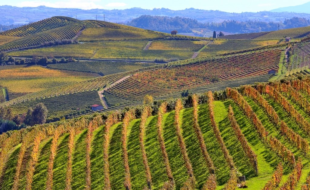 Luxury Piedmont Wine Tours