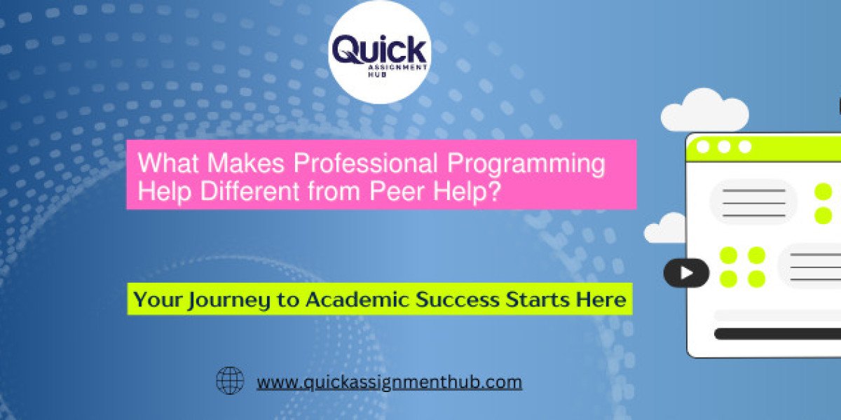 What Makes Professional Programming Help Different from Peer Help?