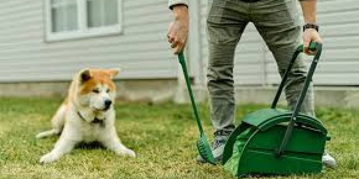 The Importance of Dog Poop Cleaning Services in Schaumburg, IL