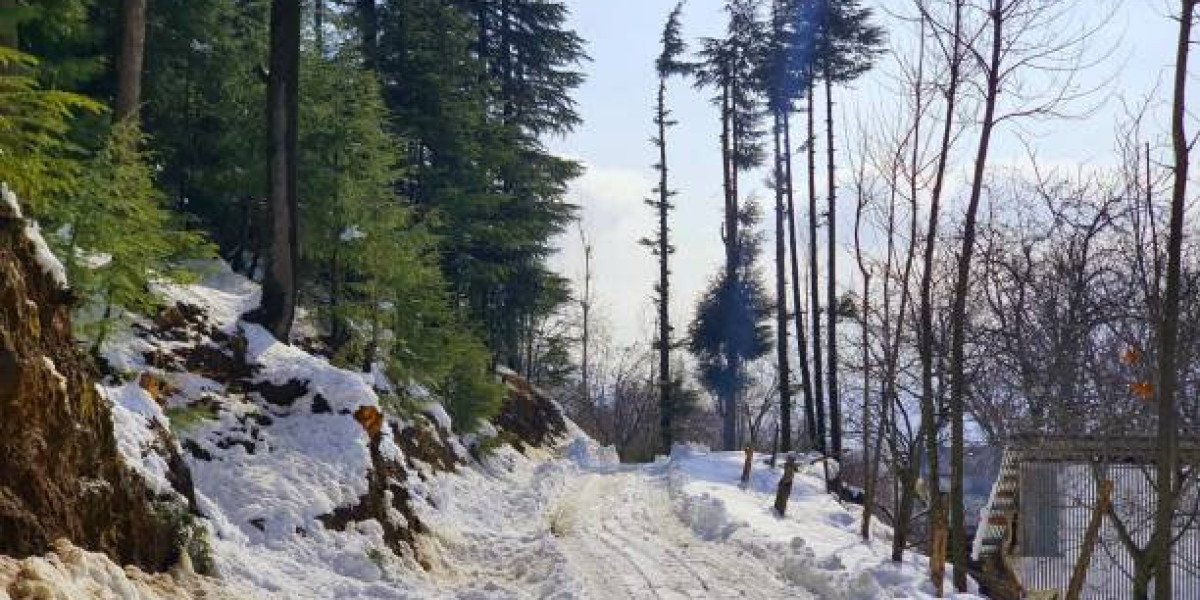 Kashmir: Where Adventure Meets Serenity