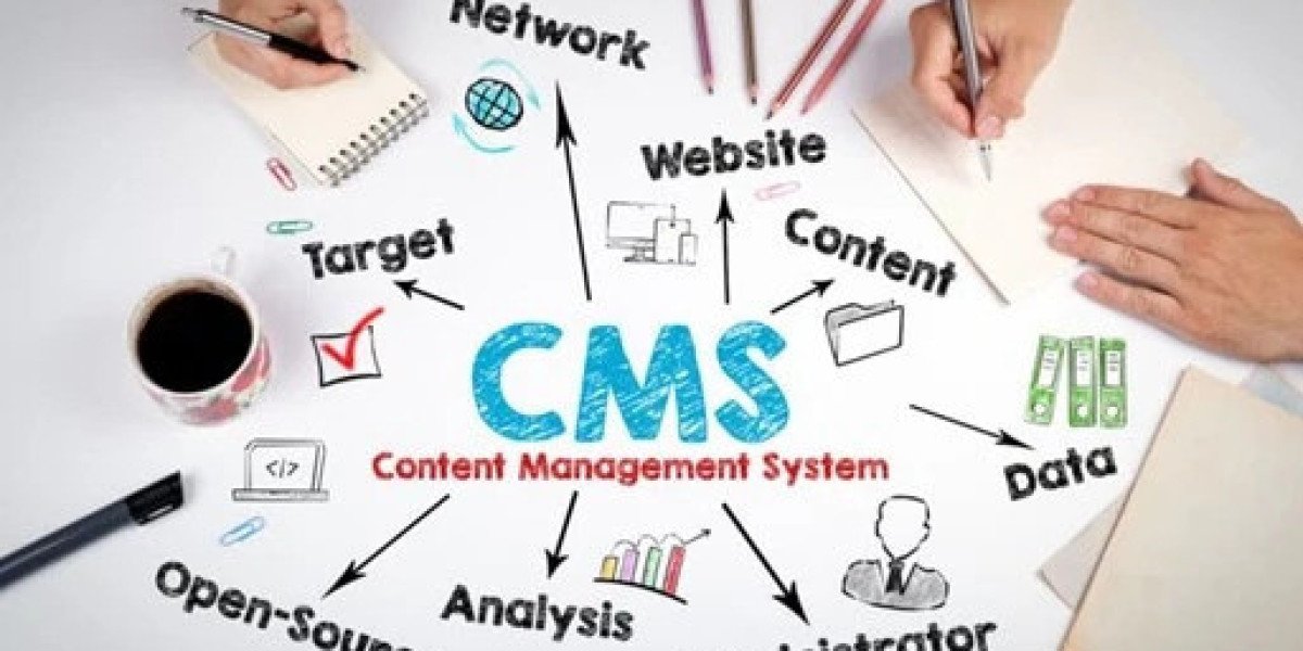 Revolutionize Your School's Online Presence with a Cutting-Edge CMS Website Development