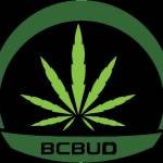 bcbud kw