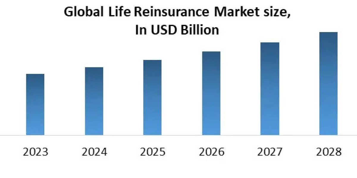 Life Reinsurance Market Sales Revenue, Leading Players and Forecast 2029