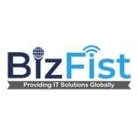 Bizfist IT Solution Solution