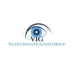 Valdes Investigation Group