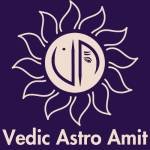 Vedic Astro Amit