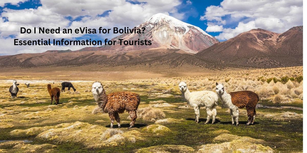 Do I Need an eVisa for Bolivia? Essential Information for Tourists