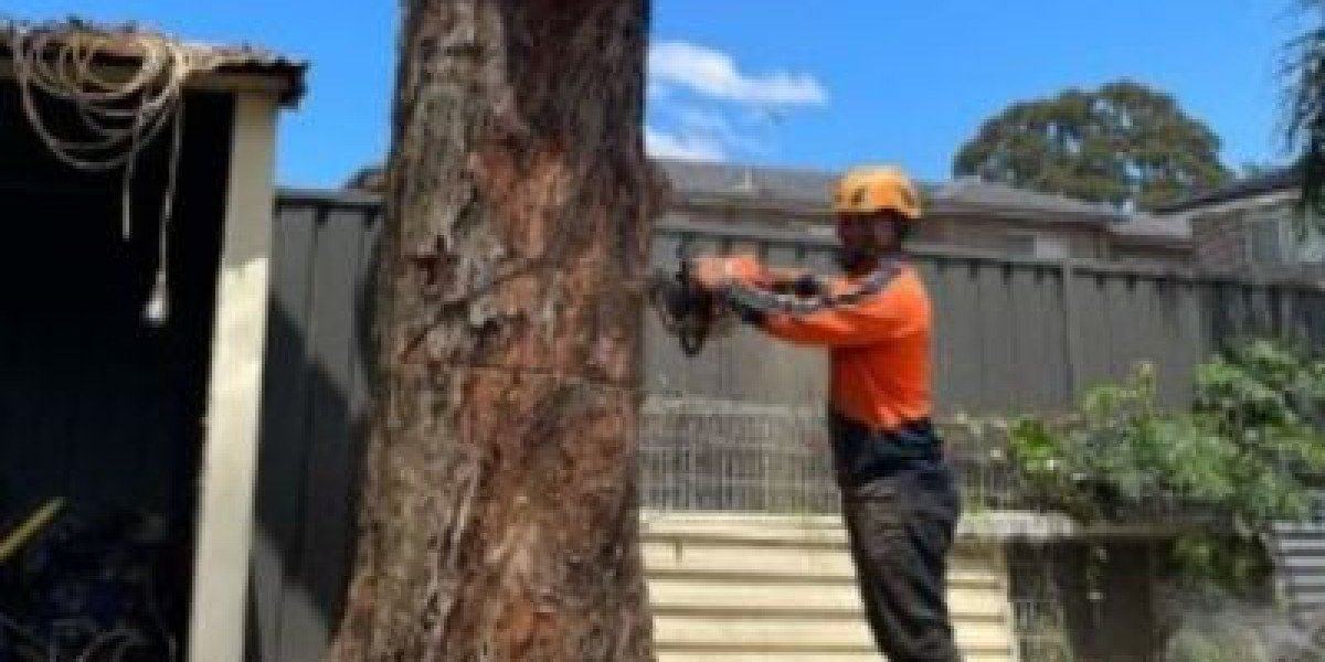 Professional Tree Trimming Services in Sydney