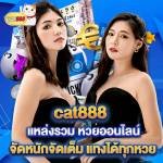 cat888 lottery Profile Picture