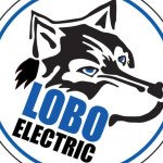 Lobo ConsultingInc Profile Picture